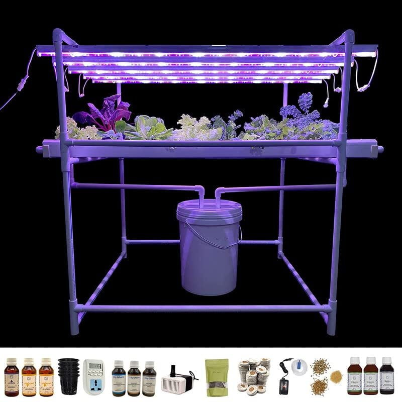 All you need to know about City Greens indoor NFT hydroponics kit